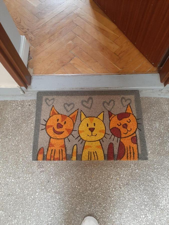 Apartament Koci Leb Stary Toruń Eksteriør bilde